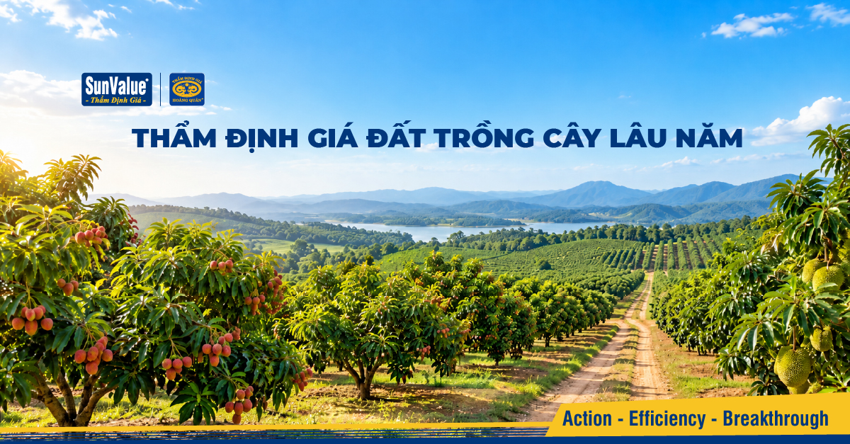 Thẩm định giá đất trồng cây lâu năm: Có tính cả vườn cây?