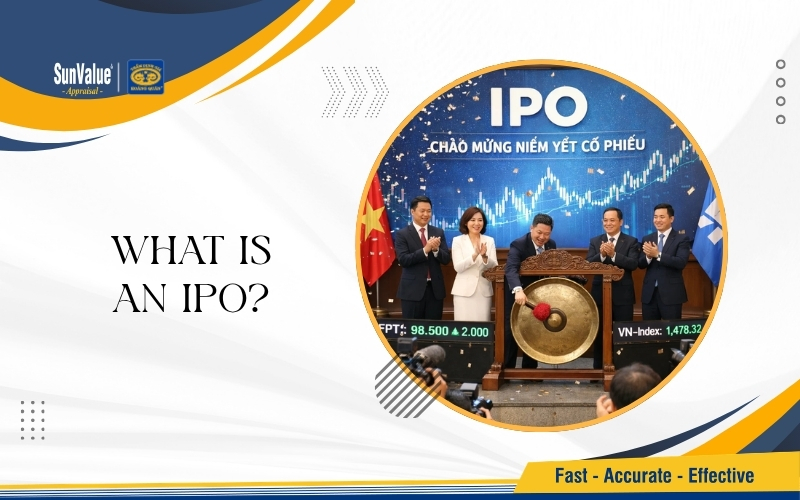 What is an IPO