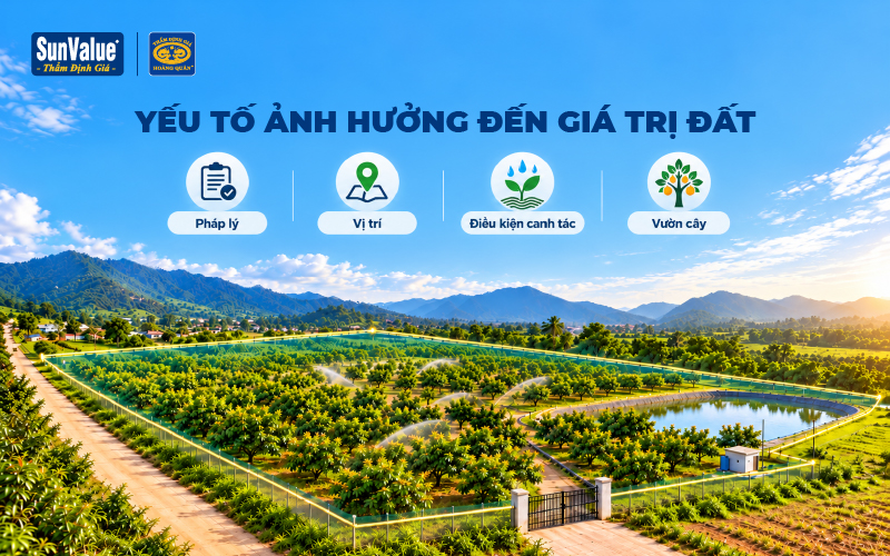 Các yếu tố ảnh hưởng đến giá trị đất trồng cây lâu năm gồm pháp lý, vị trí và hiện trạng vườn cây