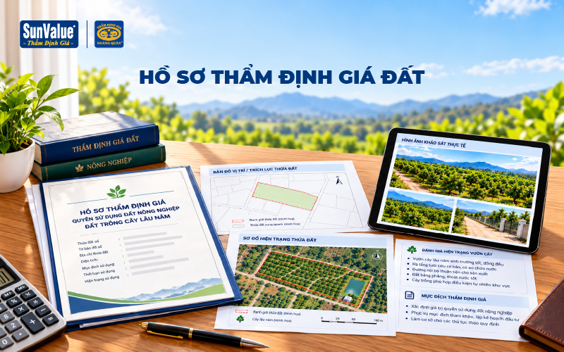 Hồ sơ pháp lý, thông tin thửa đất và vườn cây phục vụ thẩm định giá