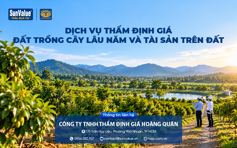Dịch vụ thẩm định giá đất trồng cây lâu năm tại Thẩm định giá Hoàng Quân